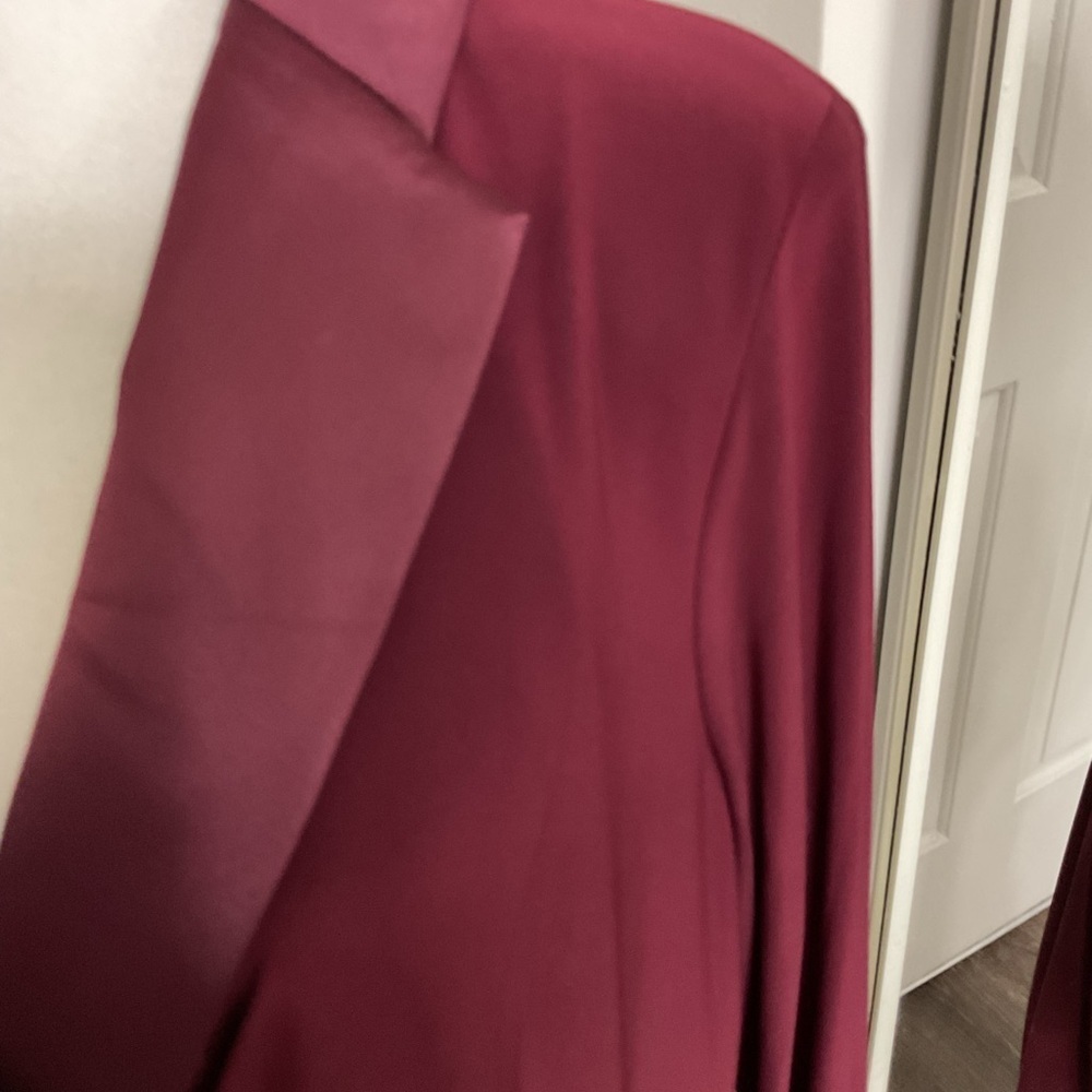ADRIANA PAPELLE. Elegant Burgundy Women's   DRESSES SIZE 14 - Picture 5 of 9